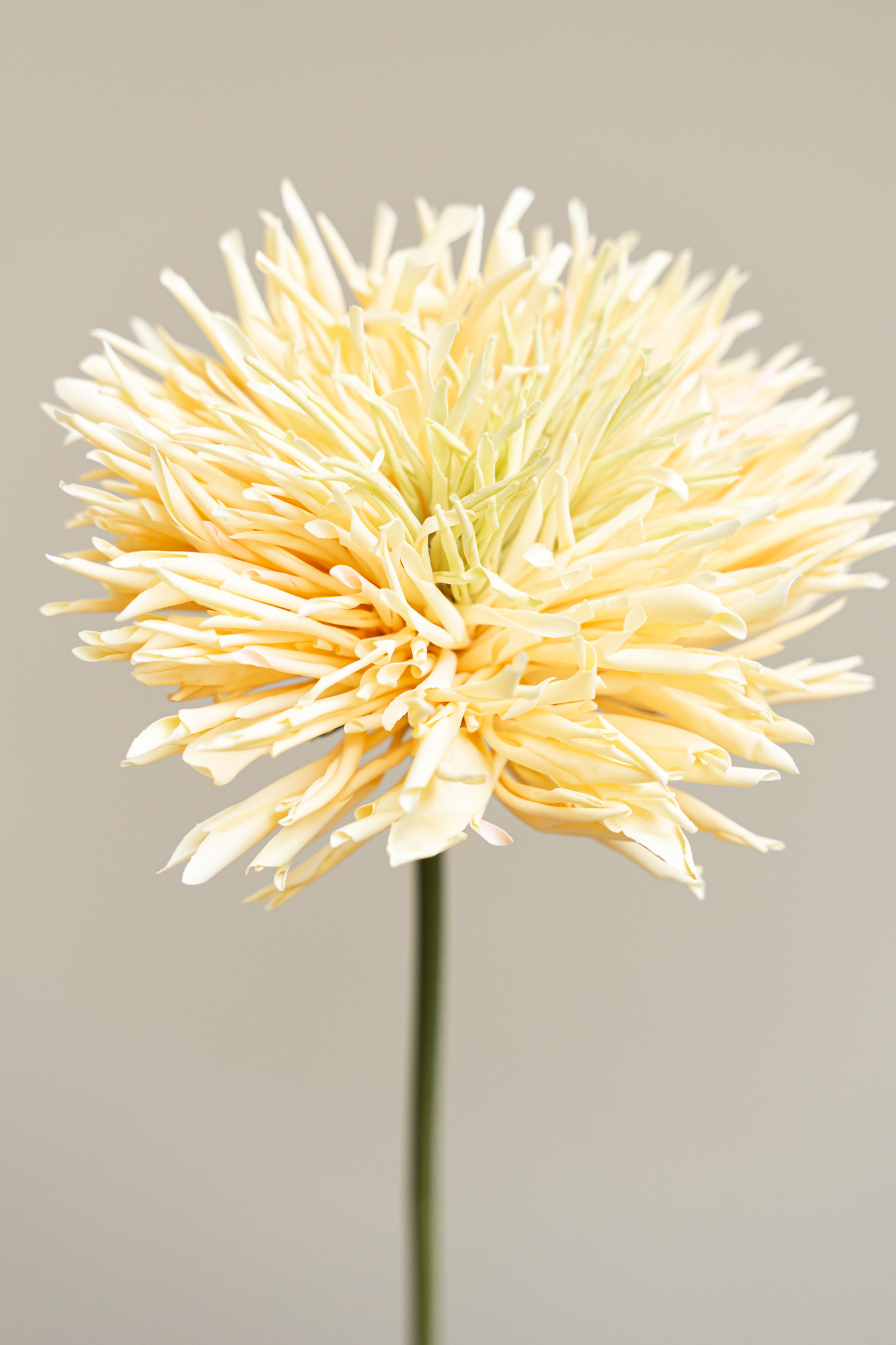 Zijden bloem - Chrysant Yellow