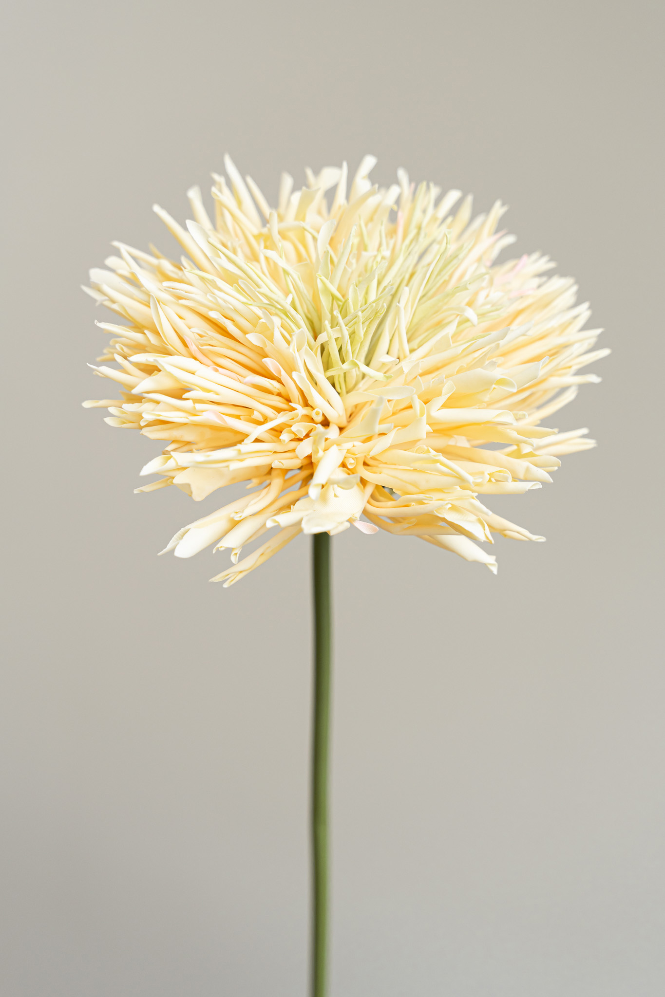 Zijden bloem - Chrysant Yellow