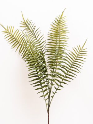Fern-spray-zijden-tak