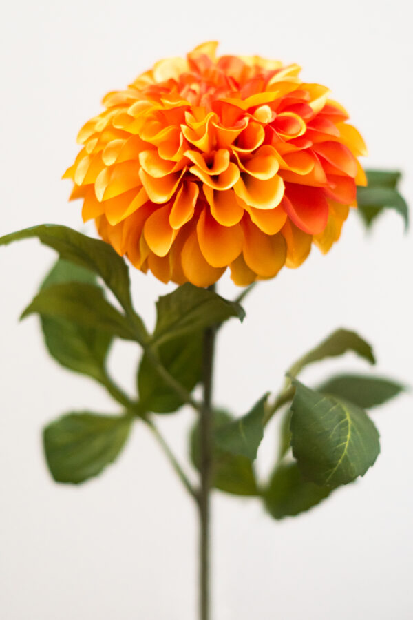Zijden bloem - Dahlia Pompon Oranje