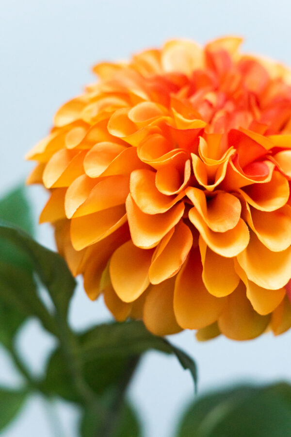 Zijden bloem - Dahlia Pompon Oranje