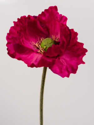 Silk-flower-Papaver-big-pink