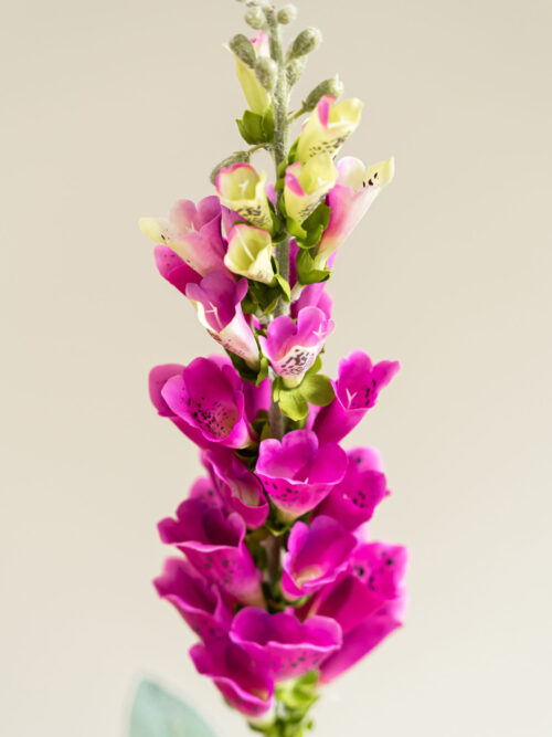 Zijden bloem - Digitalis Spray