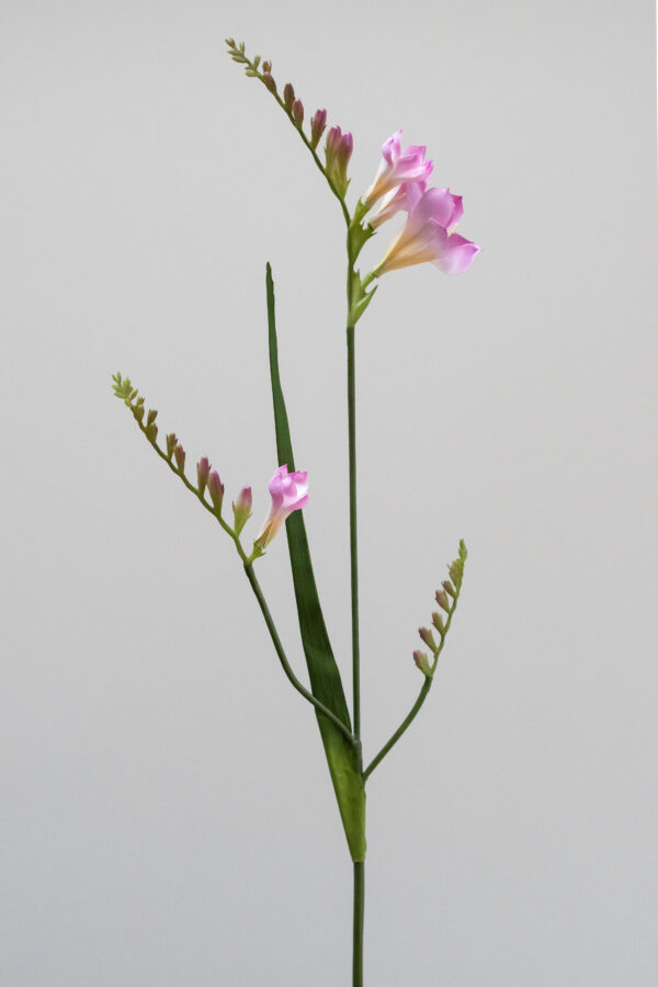 Zijden bloem - Freesia Pink