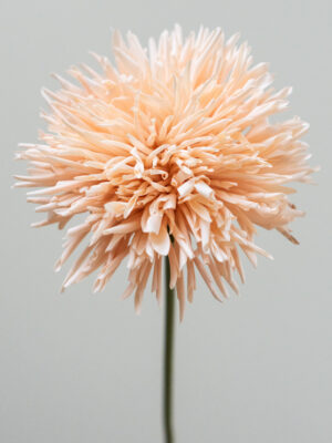 Zijden bloem - Chrysant Peach