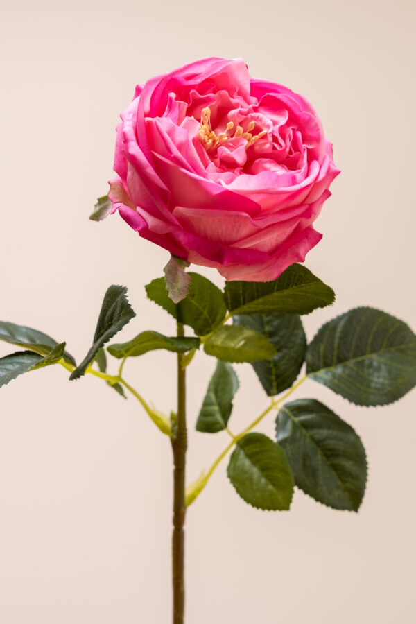 Zijden bloem - Open Rose Pink