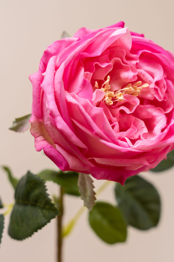 Zijden bloem - Open Rose Pink