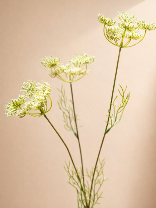 Zijden bloem - Queen Anne's Green