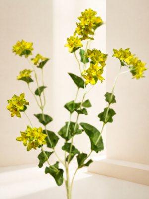 Zijden bloem - Bupleurum Groen