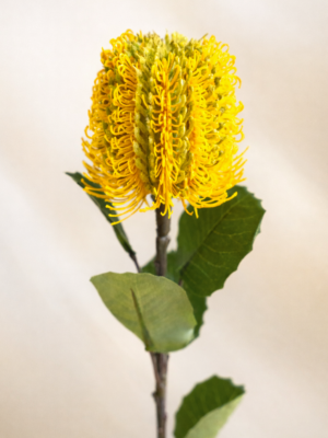 Zijden bloem - Banksia Spray Yellow