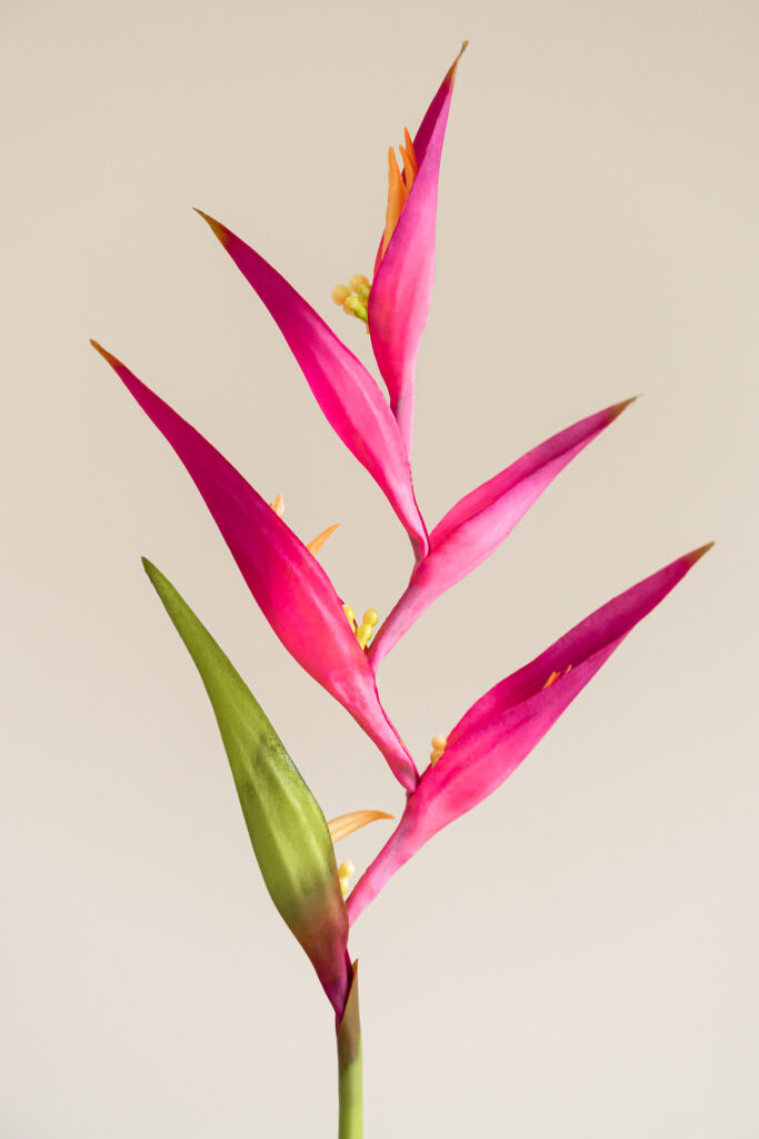 Zijden bloem - Heliconia Spray Fuchia