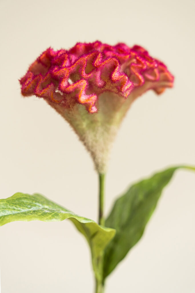 Zijden bloem - Hanekam Pink