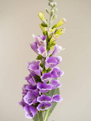 Zijden bloem - Digitalis Spray Lila