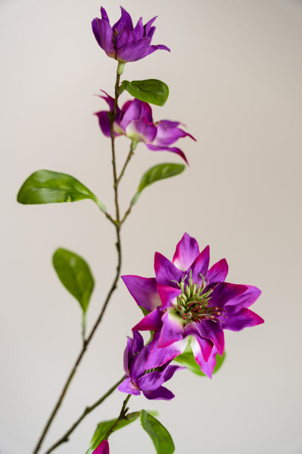 Zijden bloem - Clematis Branch Pink