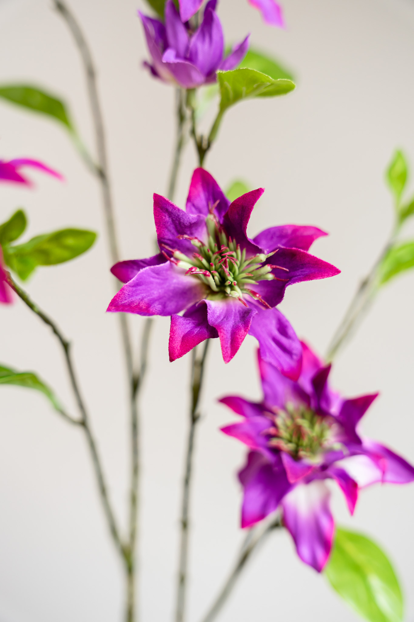 Zijden bloem - Clematis Branch Pink