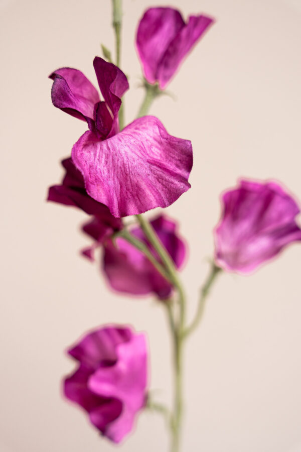Zijden bloem - Sweetpea Purple