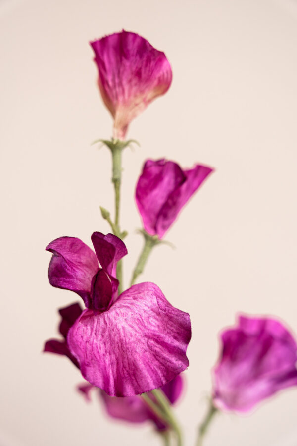 Zijden bloem - Sweetpea Purple