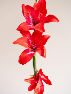 Zijden bloem - Gladiolus Spray Oranje