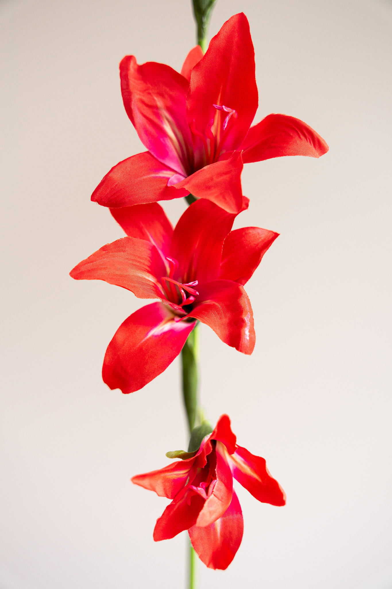 Zijden bloem - Gladiolus Spray Oranje
