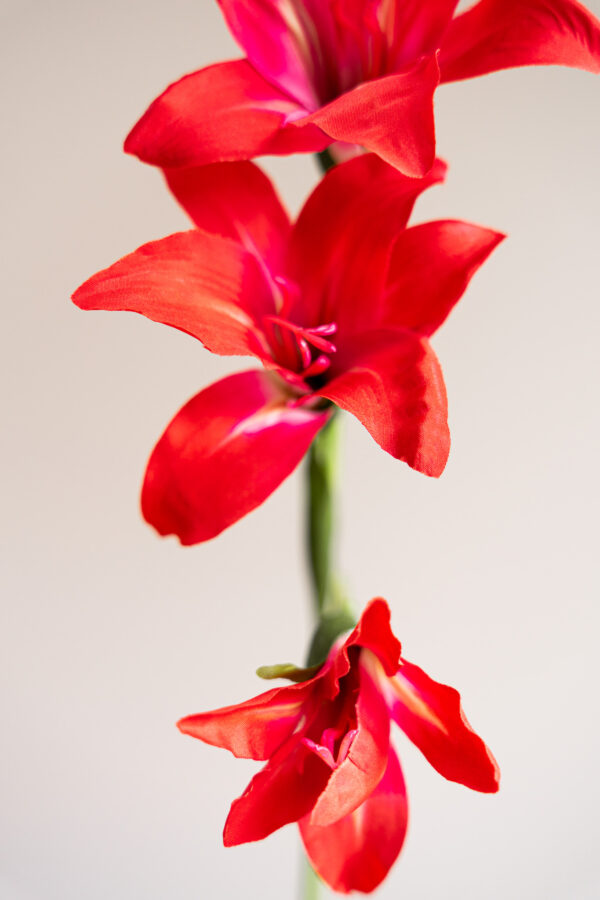 Zijden bloem - Gladiolus Spray Oranje