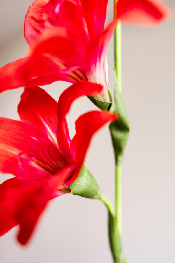Zijden bloem - Gladiolus Spray Oranje