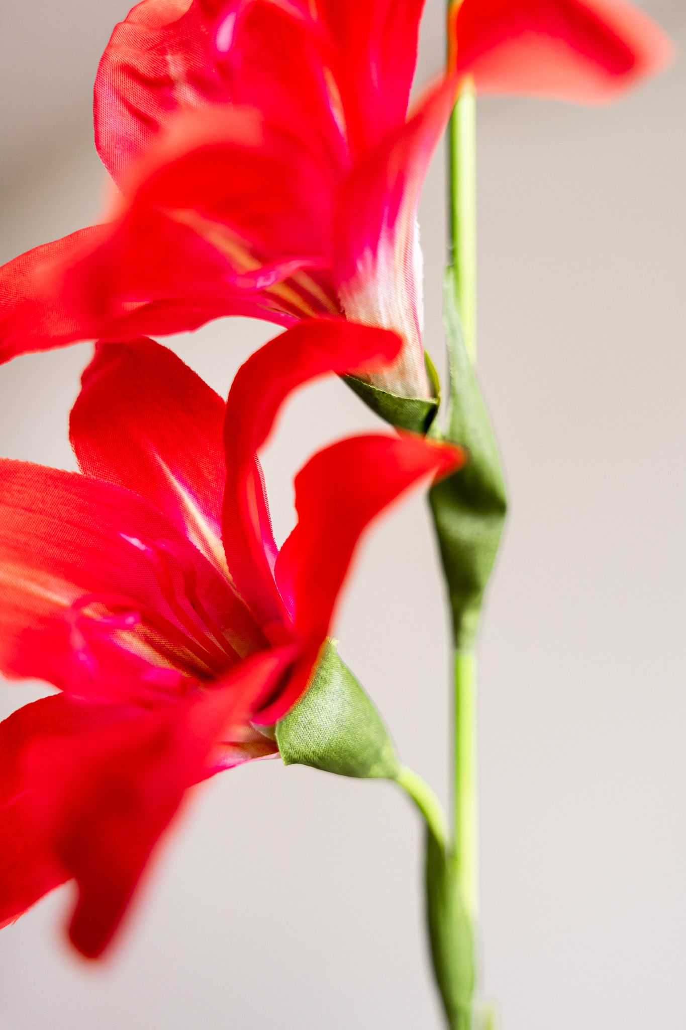 Zijden bloem - Gladiolus Spray Oranje