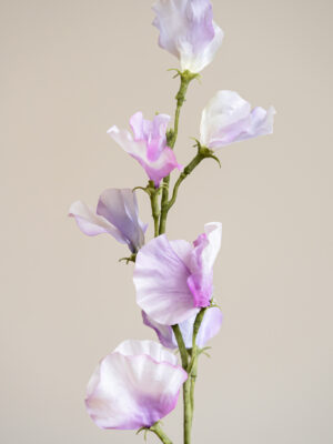 Zijden bloem - Sweetpea Lila