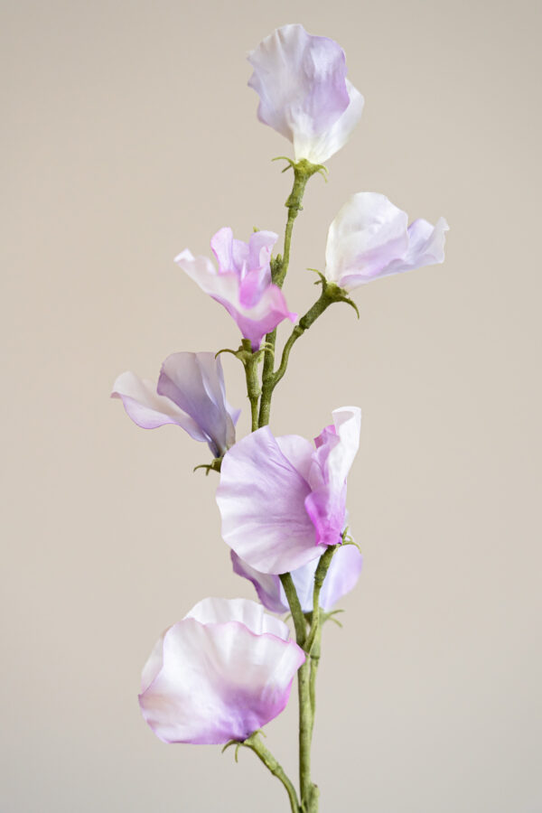 Zijden bloem - Sweetpea Lila