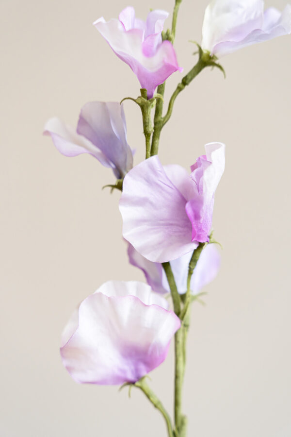 Zijden bloem - Sweetpea Lila