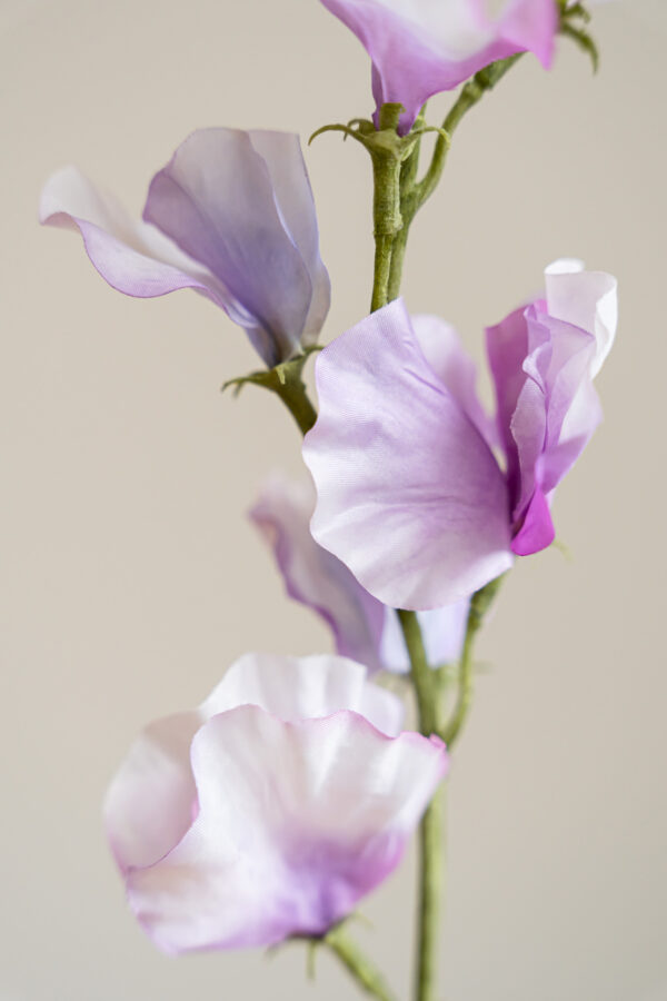 Zijden bloem - Sweetpea Lila