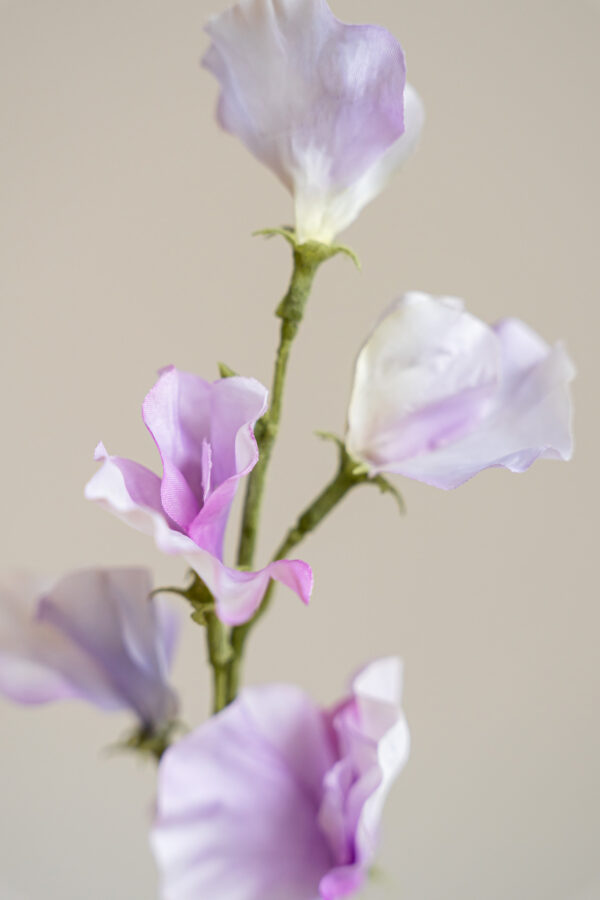 Zijden bloem - Sweetpea Lila