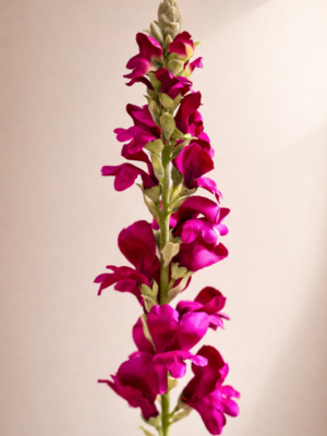 Zijden bloem - Dragon Delphinium Stem Red