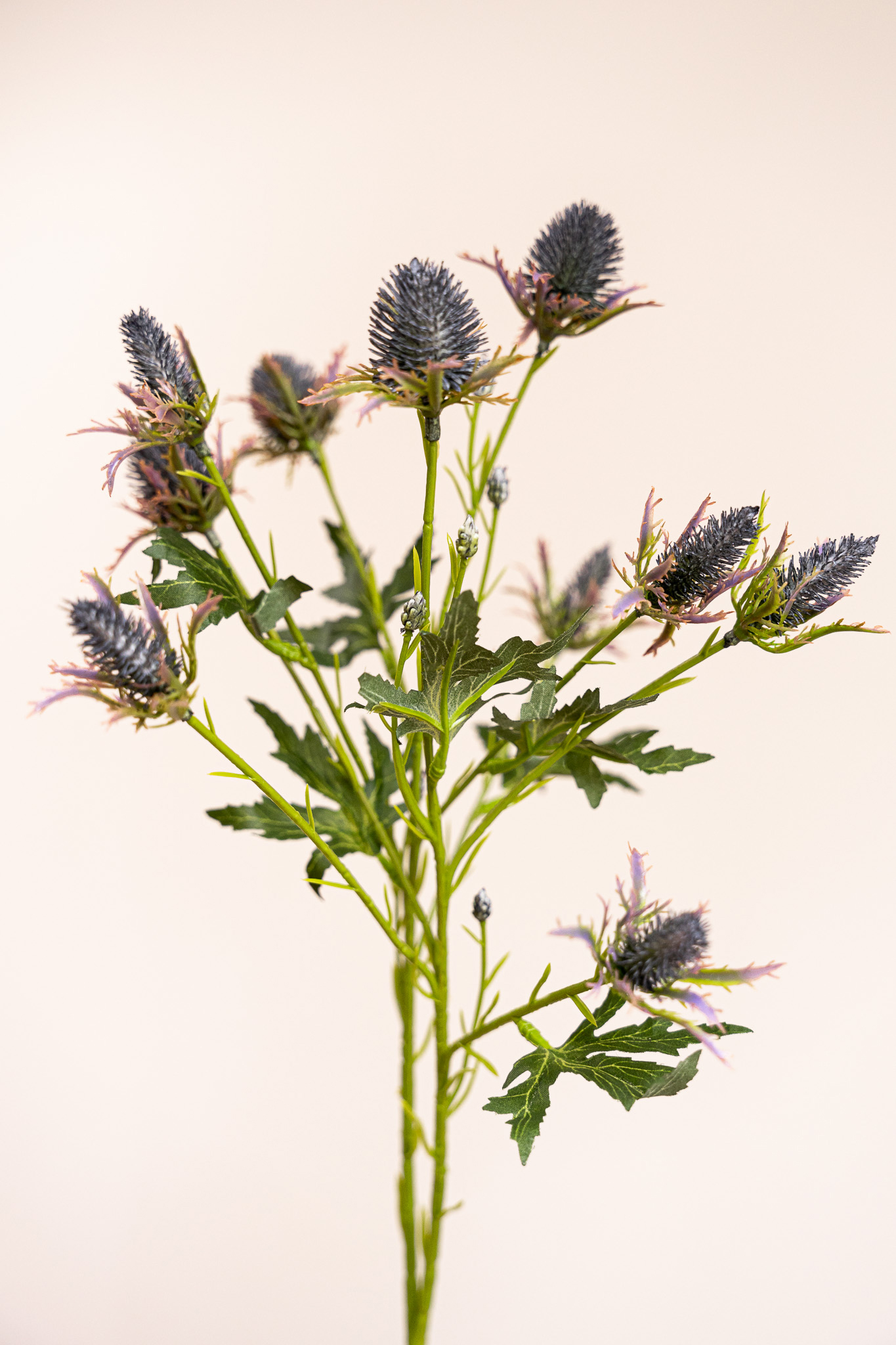 Zijden bloem - Distel Bruin / Groen