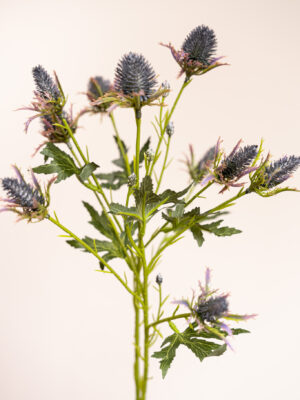 Zijden bloem - Distel Bruin / Groen