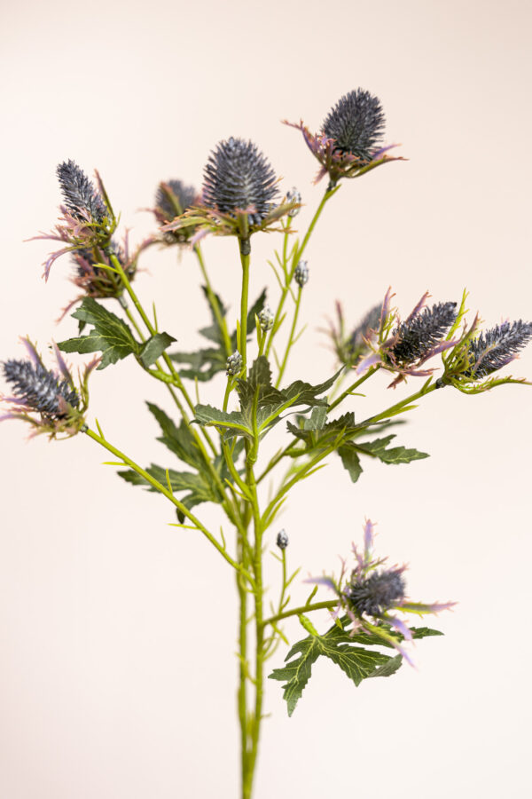 Zijden bloem - Distel Bruin / Groen