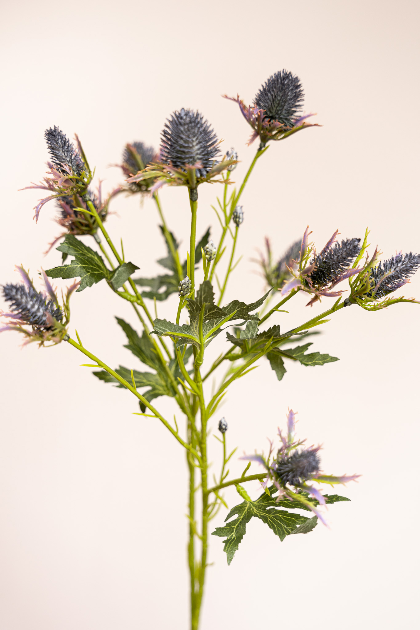 Zijden bloem - Distel Bruin / Groen
