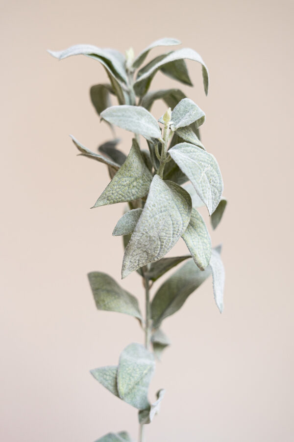 Zijden bloem - Salie Lichtgroen