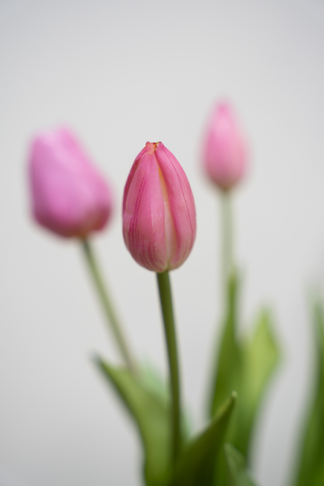 Zijden boeket - Bosje Tulpen Roze