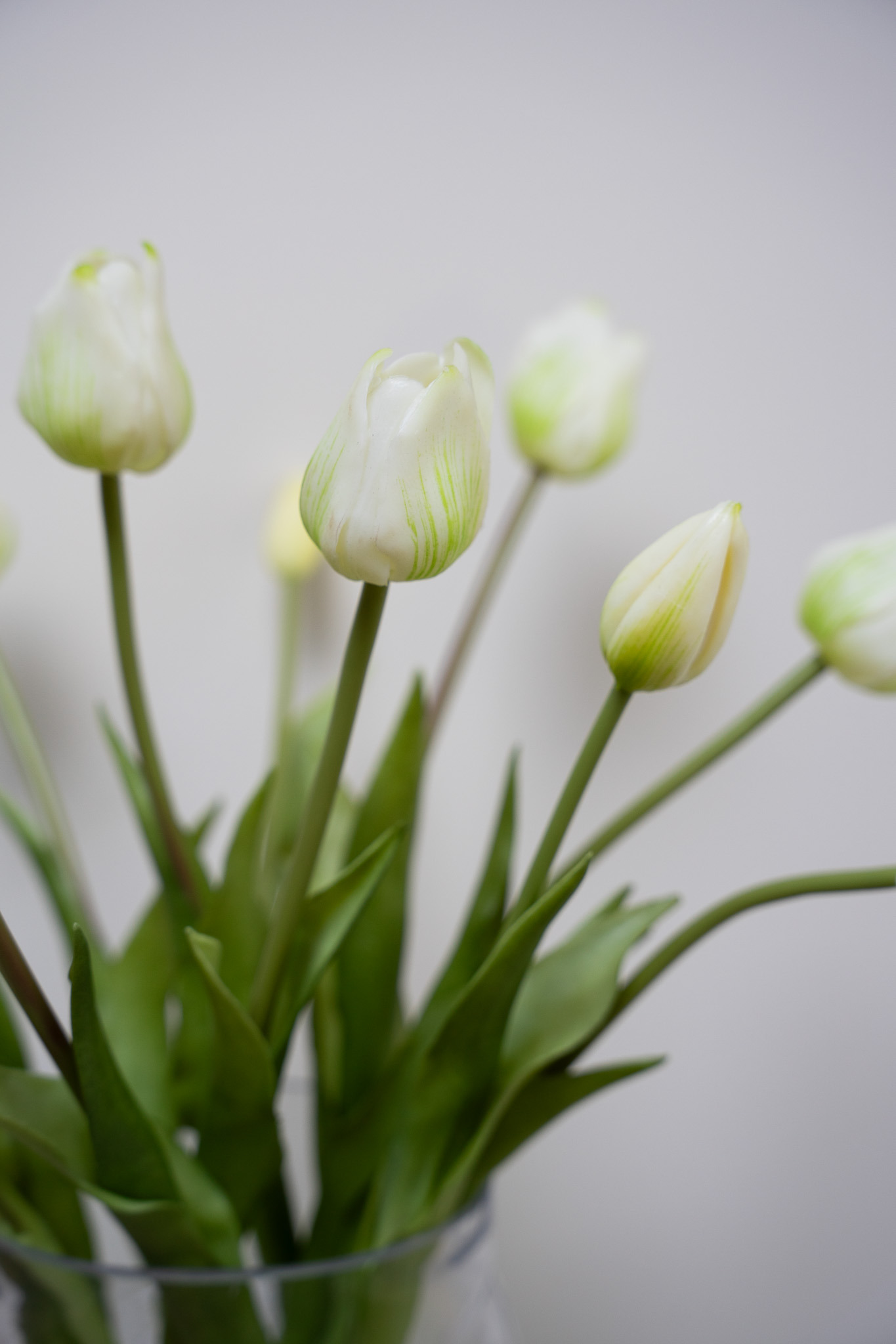 Zijden boeket - Bosje Tulpen Wit