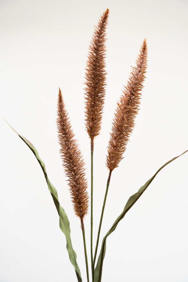 Zijden bloem - Pluimpjes Bruin