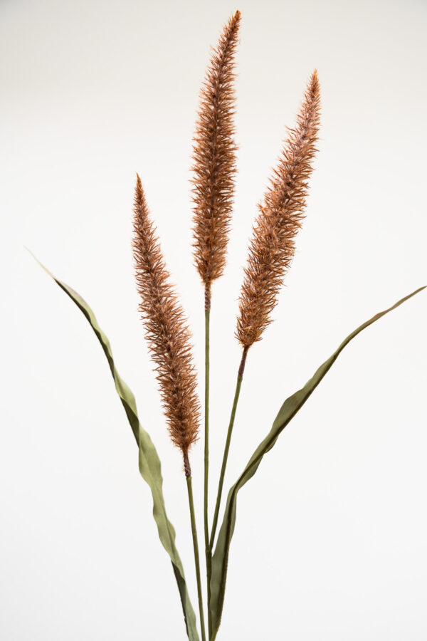 Zijden bloem - Pluimpjes Bruin