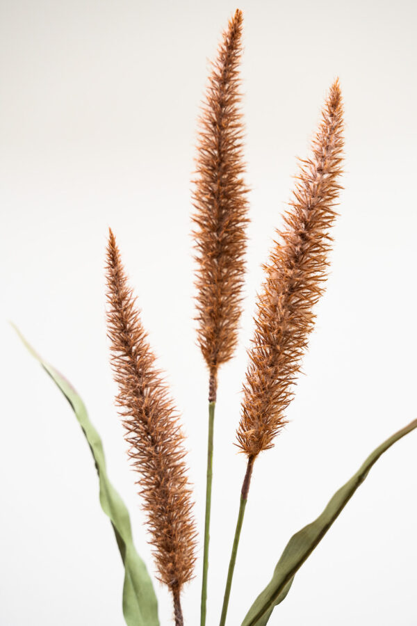 Zijden bloem - Pluimpjes Bruin