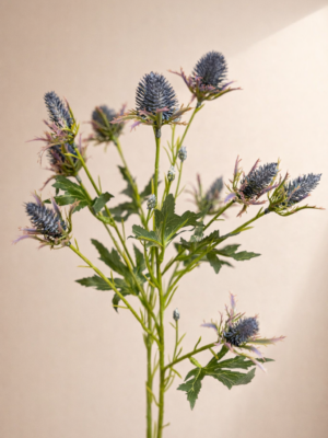 Zijden bloem - Distel Bruin / Groen