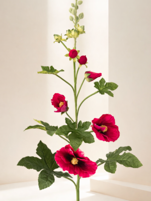 Zijden bloem - Stokroos