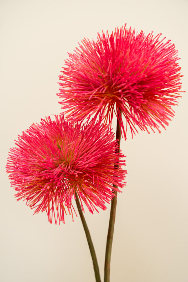 Zijden bloem - Albiza Ball Hot Pink