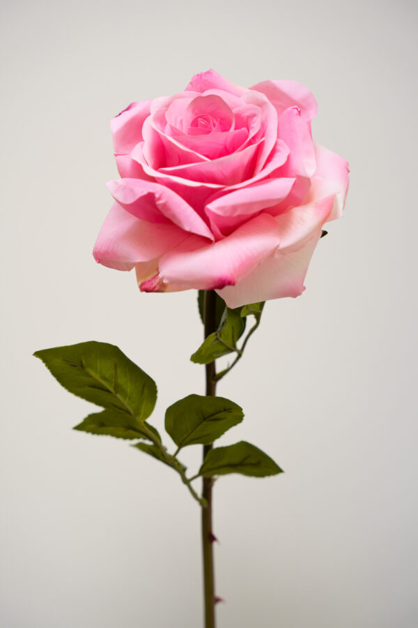 Zijden bloem - Rose Stem Hot Pink