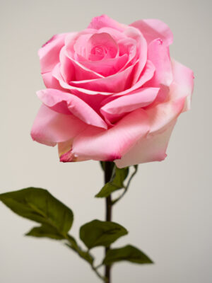 Zijden bloem - Rose Stem Hot Pink