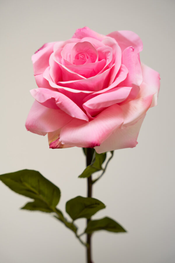 Zijden bloem - Rose Stem Hot Pink