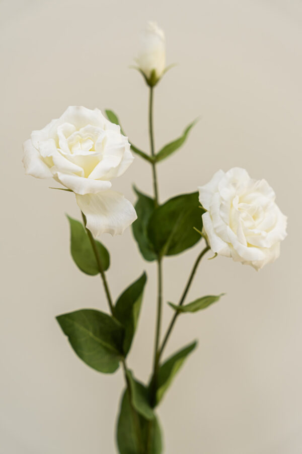 Zijden bloem - Lisianthus Cream