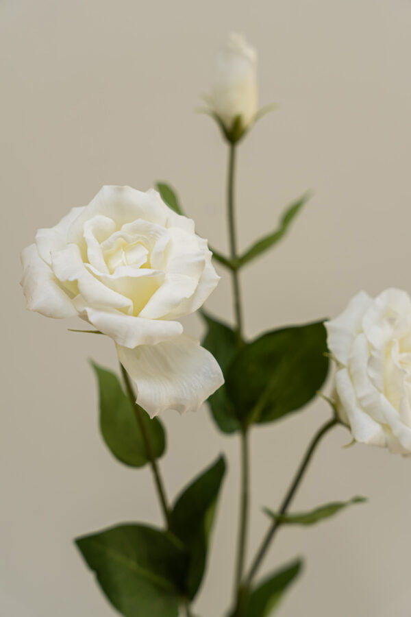 Zijden bloem - Lisianthus Cream